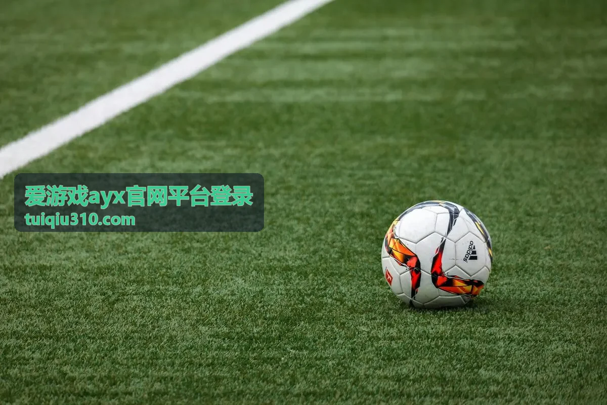 爱游戏ayx官网平台登录页面加载异常排查示意
