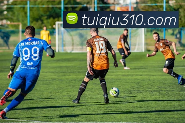 mksports登录入口平台生态图